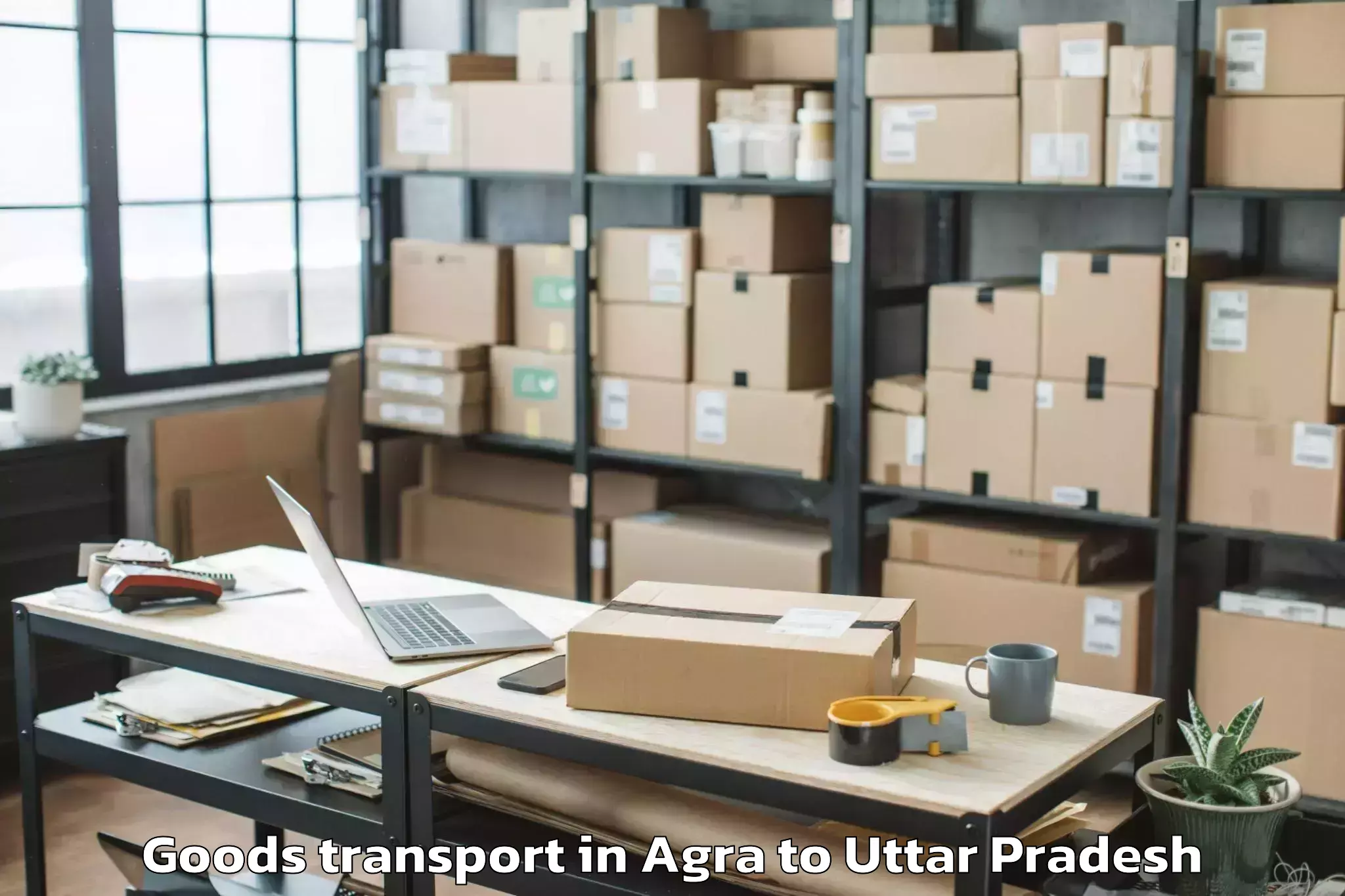 Professional Agra to Abhilashi University Varanasi Goods Transport